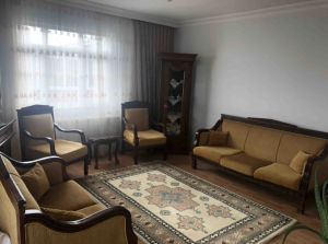 Klasik antika tarzında retro koltuk takımı