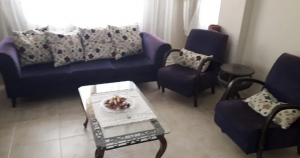 Temiz durumda alfemo salon takımı