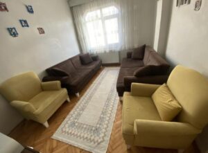SPOT OTURMA GRUBU KOLTUK TAKIMI ÇEKYAT 22 Ucuz koltuk takımı Koltuklar TAY tüyüdür