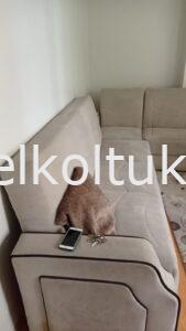 Uygun fiyatlı temiz kullanılmış koltuk takımı FİYATI: 1200 TL