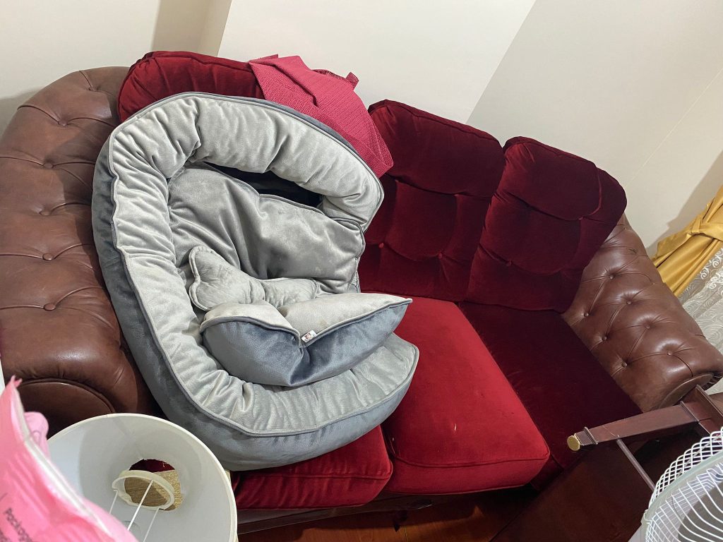 orjinal kirmizi deri koltuk kanepe 1